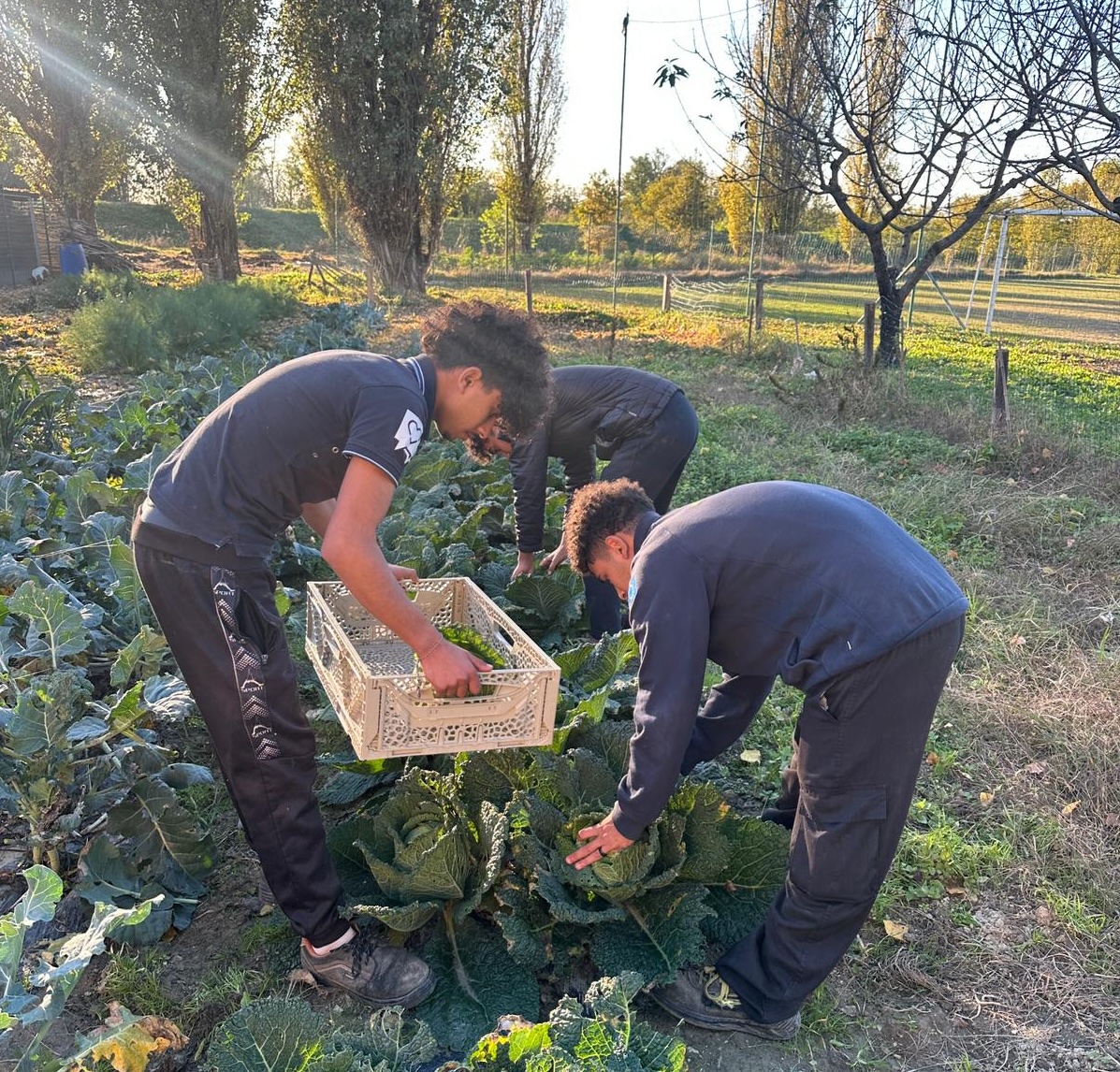 L’autunno di trasformAzione: nei terreni si lavora tra legna, orti e miele
