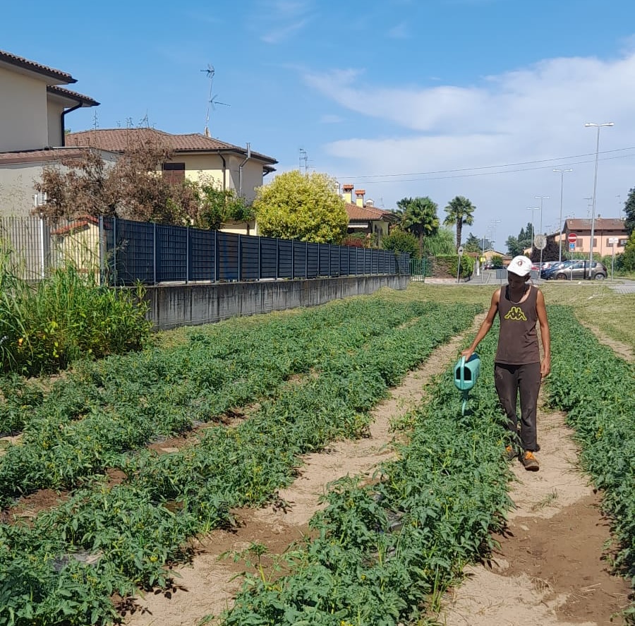 Pomodori e nuovo pozzo: l’estate di TrasformAzione entra nel vivo