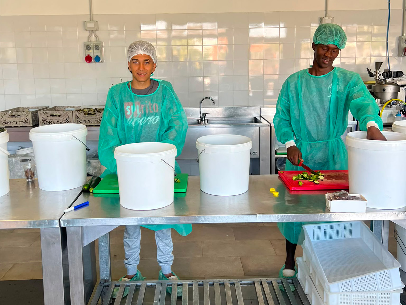 TrasformAzione, il lavoro d’estate tra campi e laboratorio